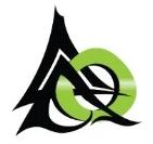 Odin Works logo